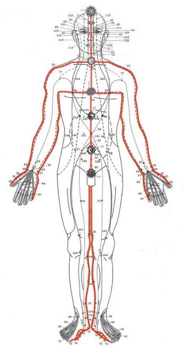 Lineas Energeticas Sen Sumana front Lineas Energeticas Sen Sumana front