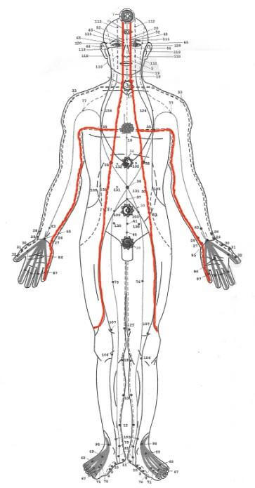 Lineas Energeticas Sen ithapingala front Lineas Energeticas Sen ithapingala front
