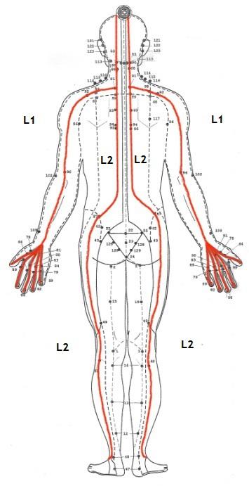Lineas Energeticas Sen kalatharee back Lineas Energeticas Sen kalatharee back